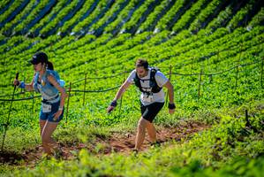 BIB: 
                            <button type="button" onclick="openModal(19161413)" class="btn btn-primary btn-sm float-right btn-popup" data-toggle="modal" data-target=".modal-high-quality">
                        <i class="fas fa-shopping-cart"></i> Add to Cart
                    </button>
                                            <button type="button" onclick="isThisMe(19161413, true)" class="btn btn-success btn-sm float-right btn-popup btn-isme hidden" data-toggle="tooltip" data-placement="bottom" title="นี่คือรูปของคุณใช่ไหม คลิกที่นี่เพื่อเอาเข้าอัลบั้ม">
                        <i class="fas fa-plus"></i> Add to album
                    </button>
                    <button type="button" onclick="isThisMe(19161413, false)" class="btn btn-warning btn-sm float-right btn-popup btn-isnotme hidden">
                        <i class="fas fa-ban"></i> Remove from album
                    </button>